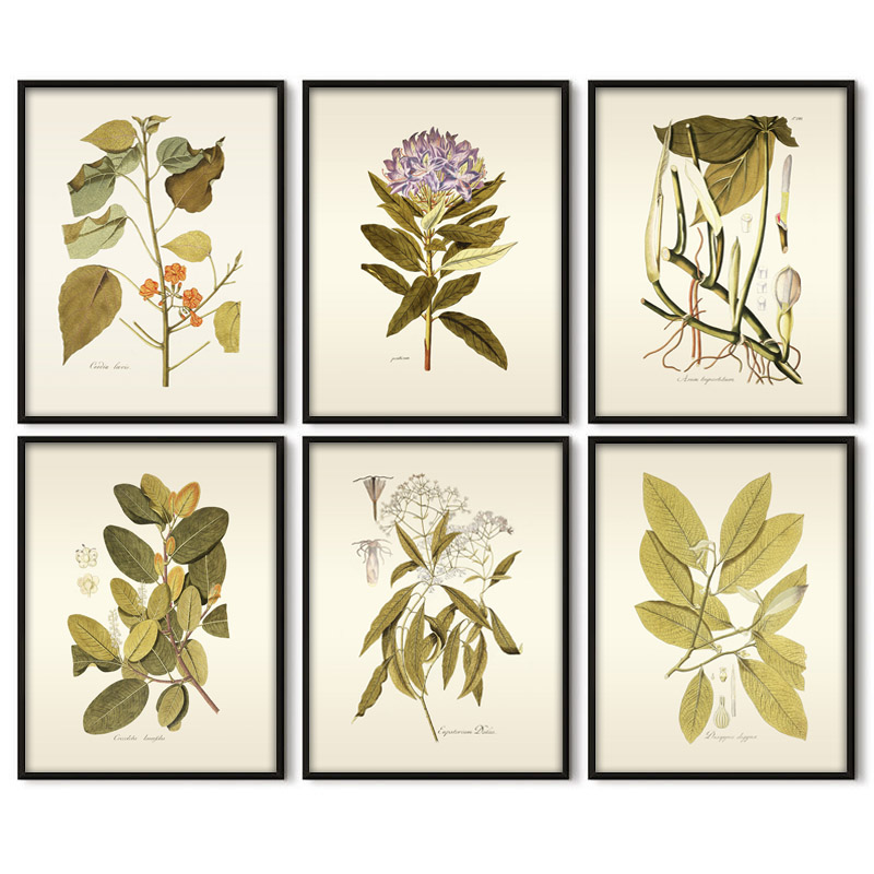 Herbaceous Plant Wall Art Pain – Office Furniture York recenzja i cena