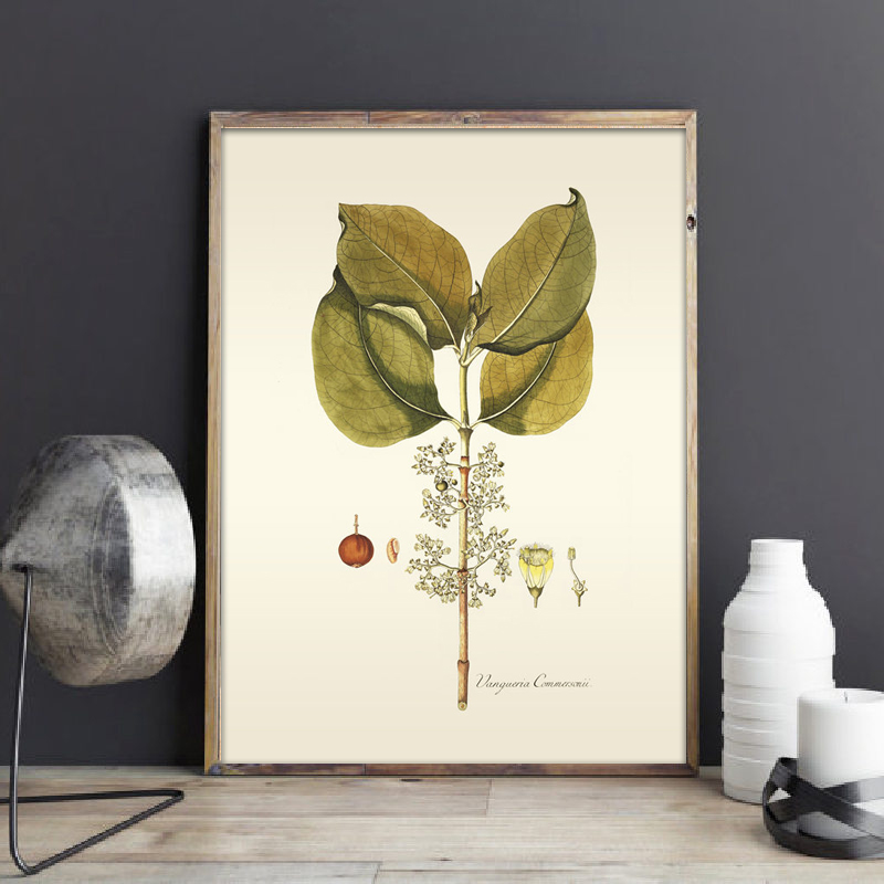 Herbaceous Plant Wall Art Pain – Office Furniture York recenzja i cena