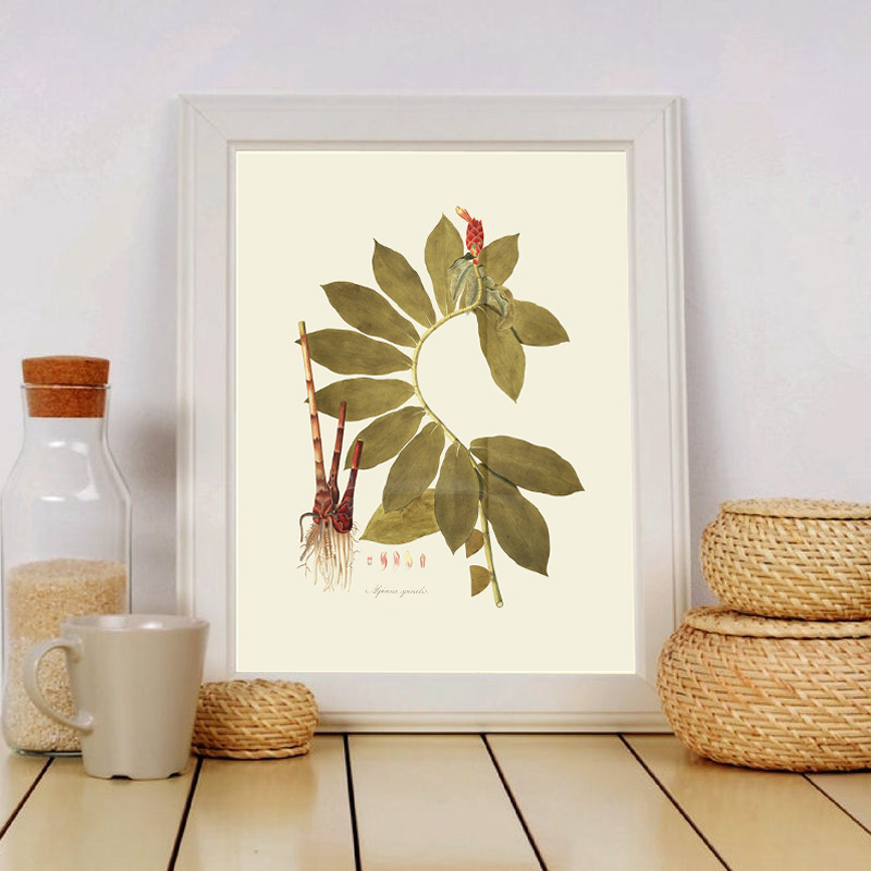 Herbaceous Plant Wall Art Pain – Office Furniture York recenzja i cena
