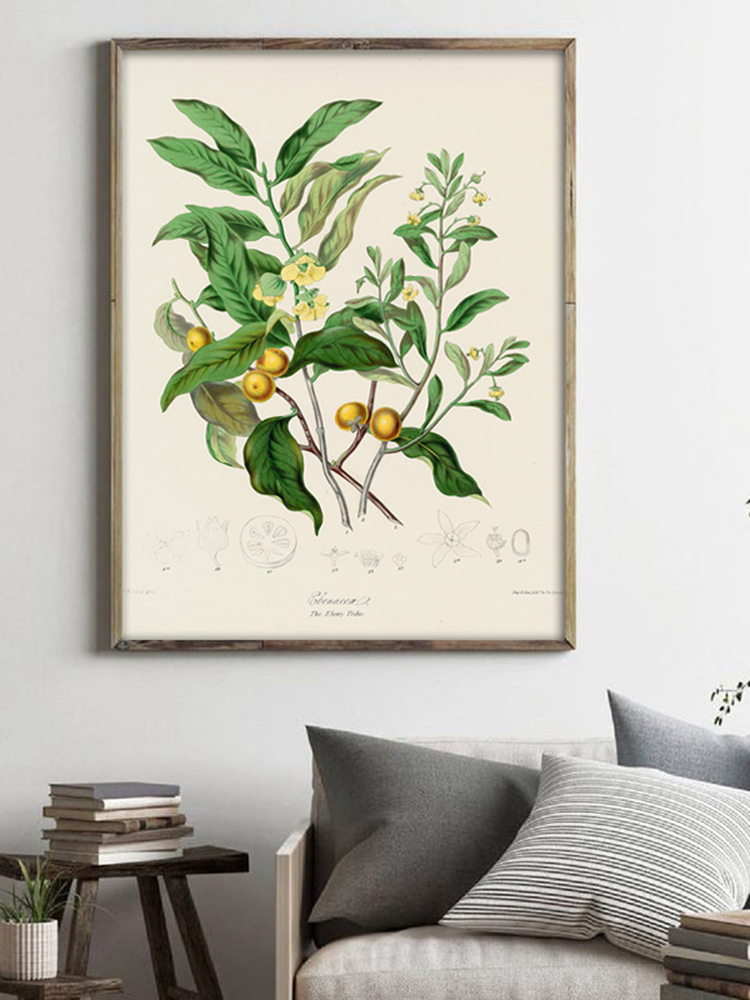 Herbaceous Plant Wall Art Pain – Office Furniture York recenzja i cena